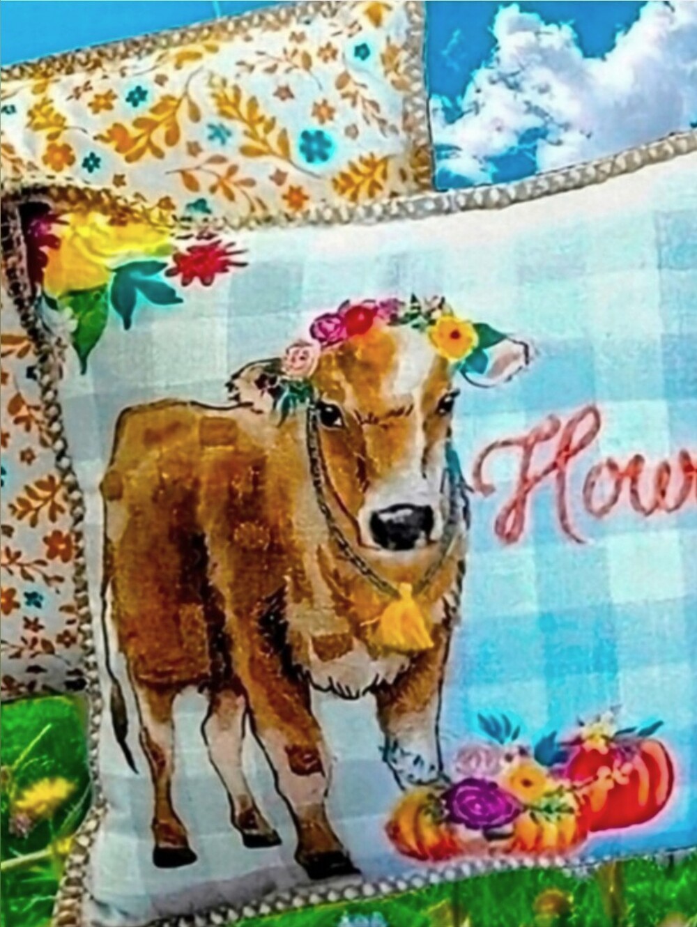 NWT. Pair of Pioneer Woman Cow Howdy Floral Gingham Throw Pillows. Rustic.